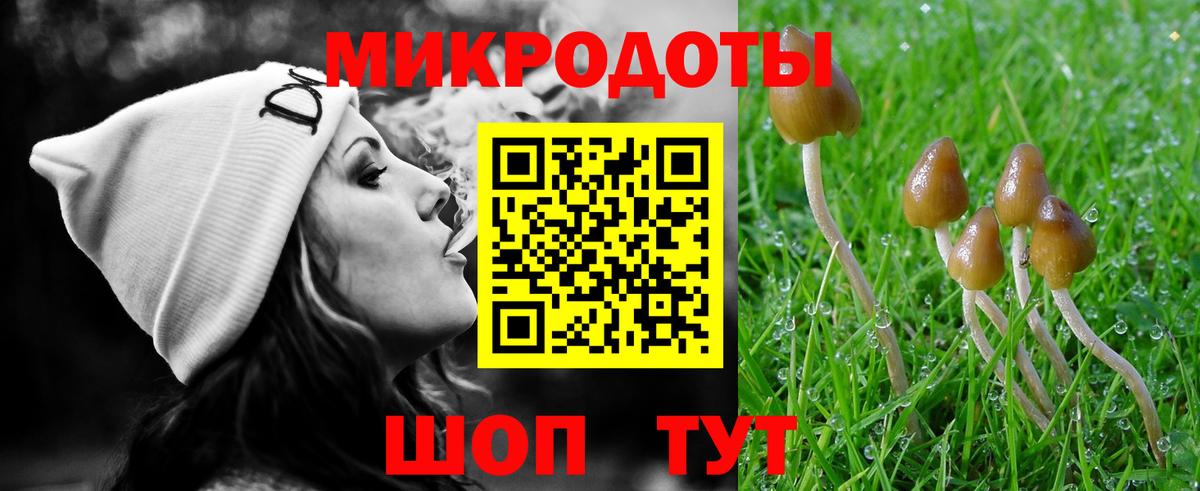 Галлюциногенные грибы Cubensis Красноуфимск
