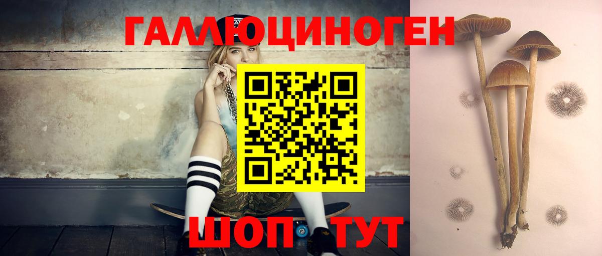 Красноуфимск  Галлюциногенные грибы MAGIC MUSHROOMS  Вход с VPN 